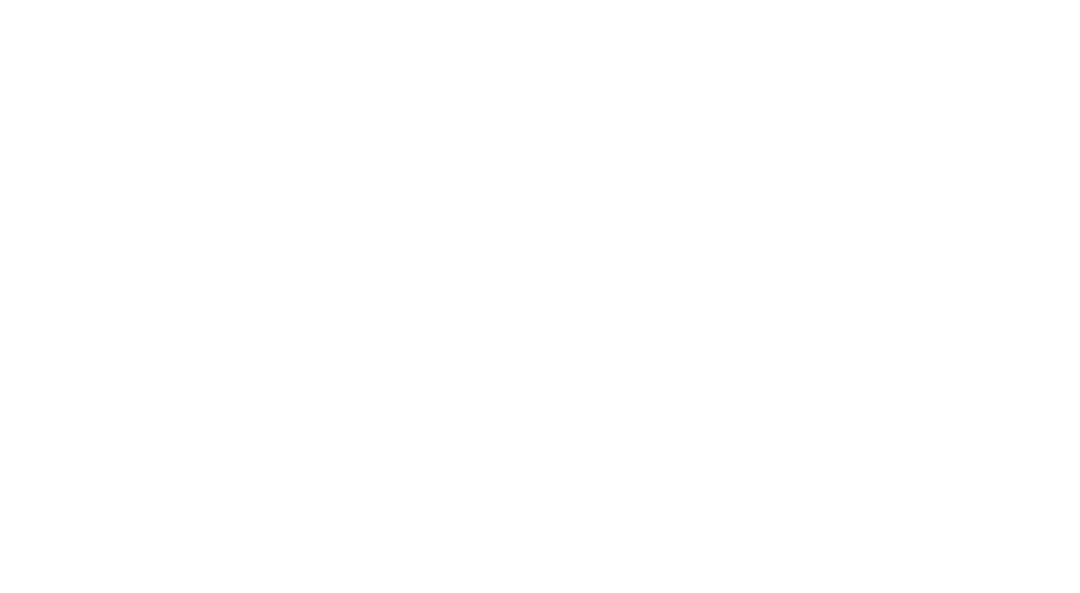 mcleod street chiropractic logo